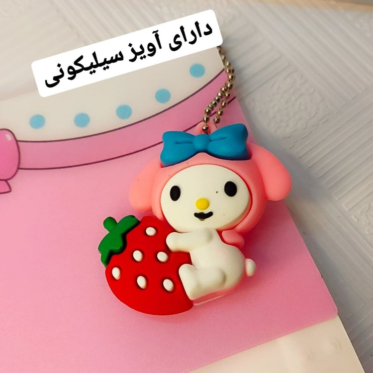 پوشه های دیوایدر دار کرومی