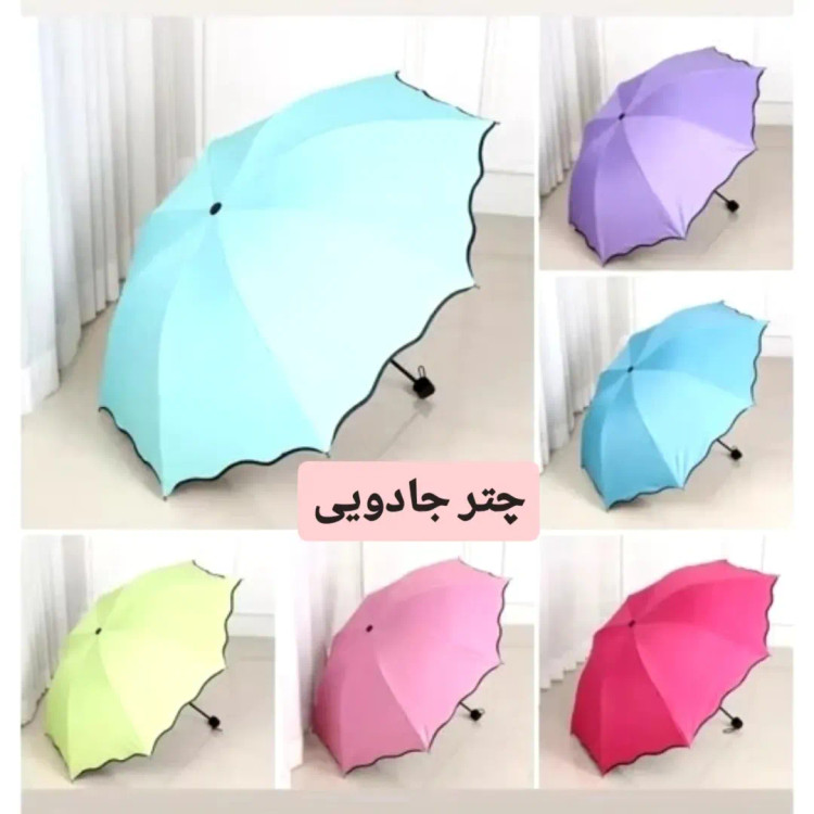 چتر جادویی گل بابونه