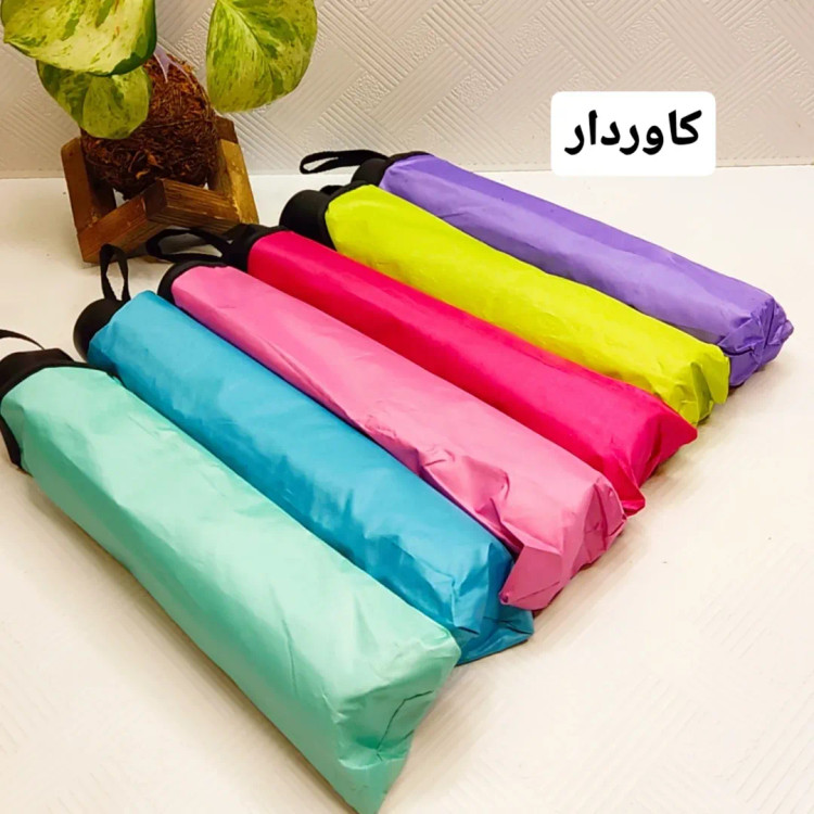 چتر جادویی گل بابونه