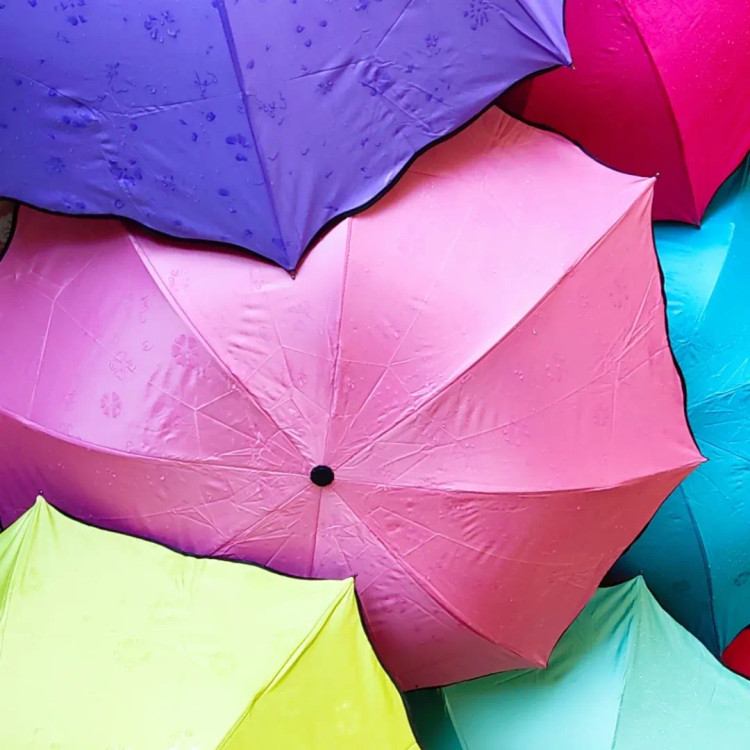 چتر جادویی گل بابونه