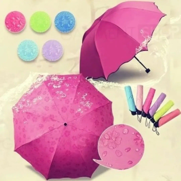 چتر جادویی گل بابونه