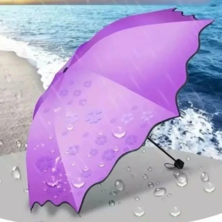 چتر جادویی گل بابونه