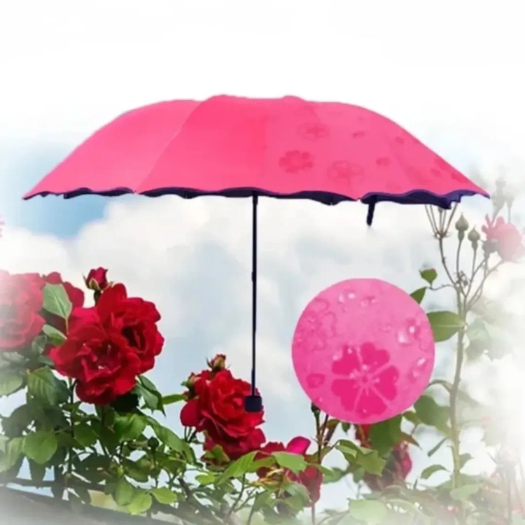 چتر جادویی گل بابونه