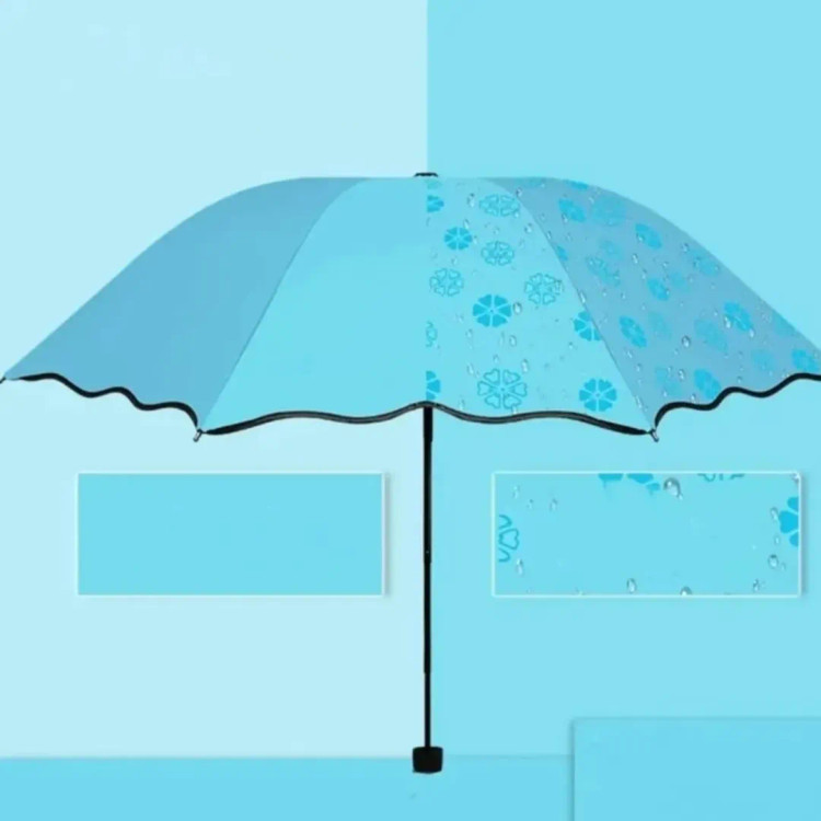 چتر جادویی گل بابونه